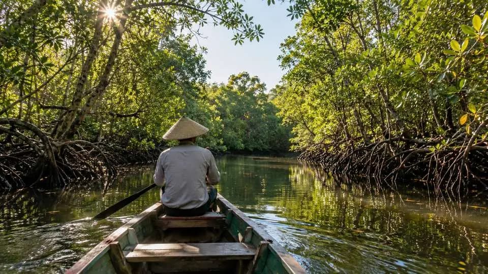 Bintan Mangrove (Sungai Sebung) on Bintan Island